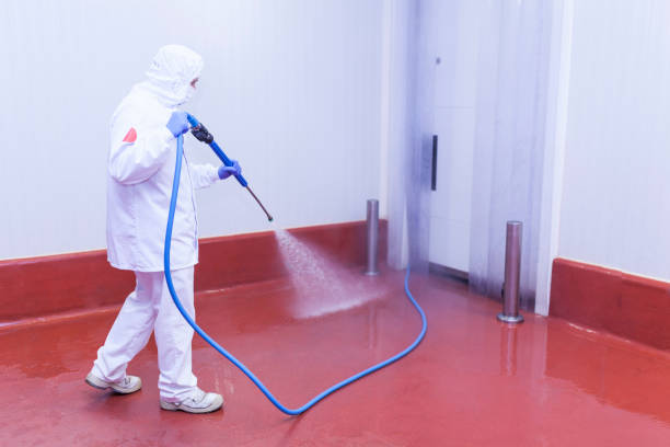 Professional Pressure Washing Services in Santa Venetia, CA